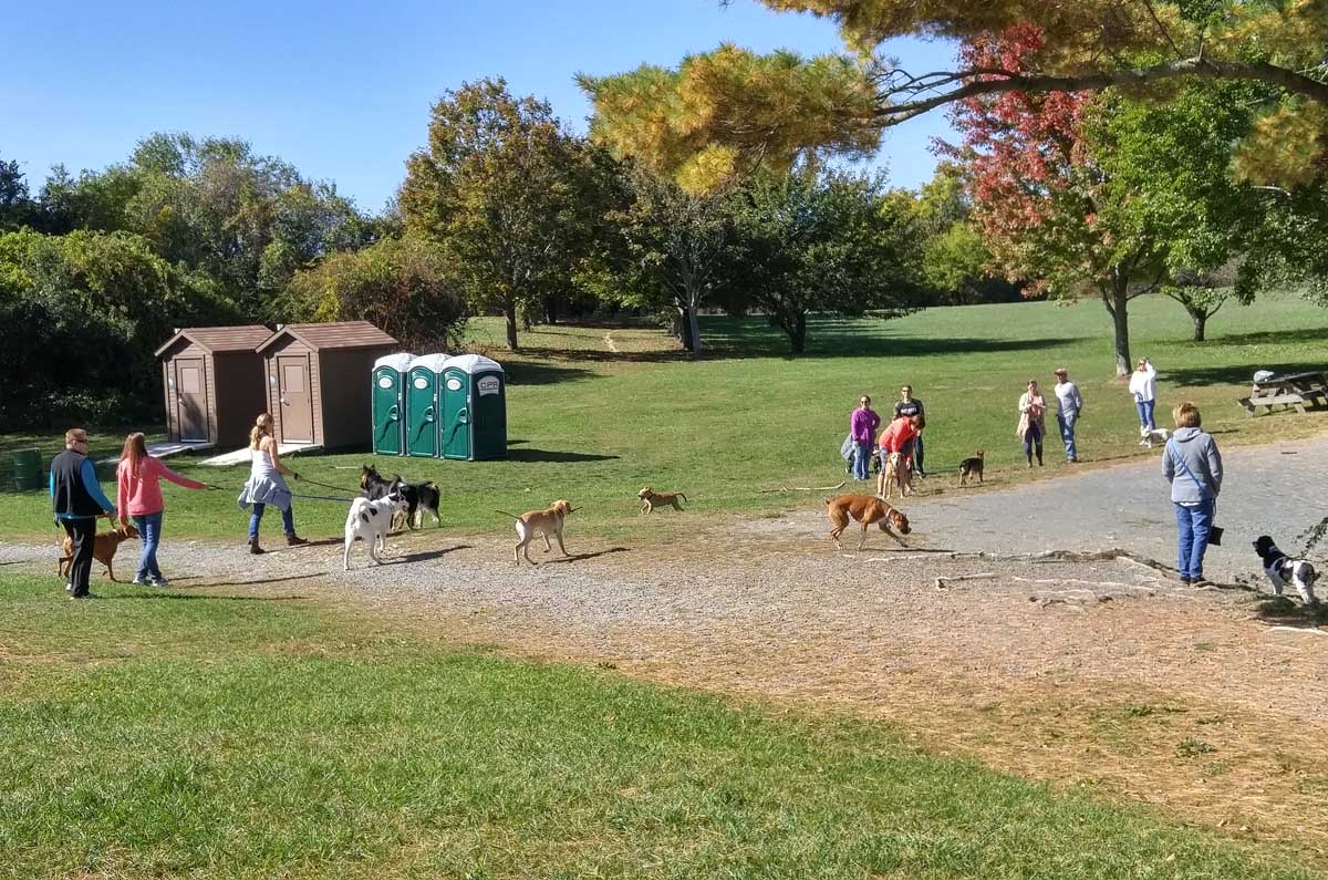 Dog Park New England Rhode Island Chase Farm Minimatt