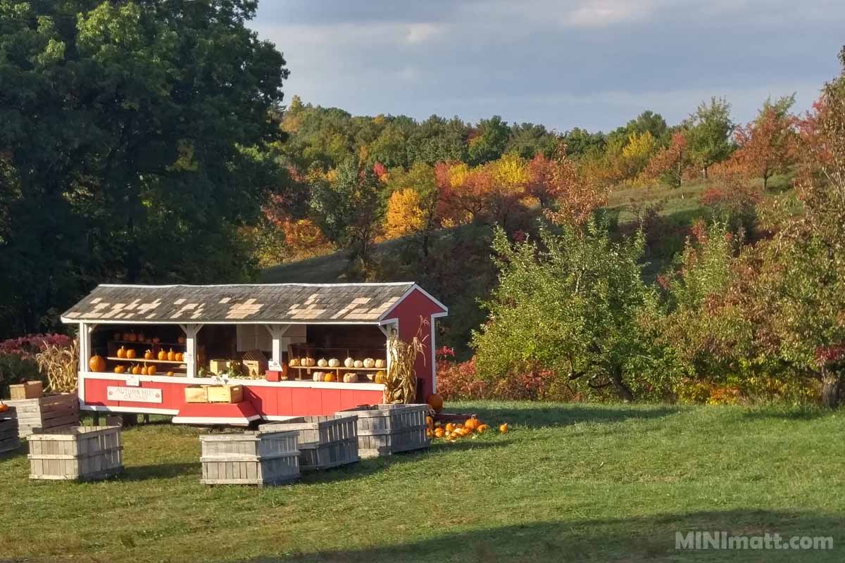 New England Orchard Fall Foliage